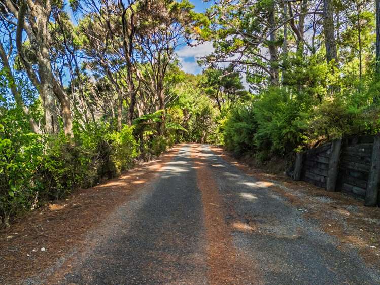 Kanuka Grove Russell_2