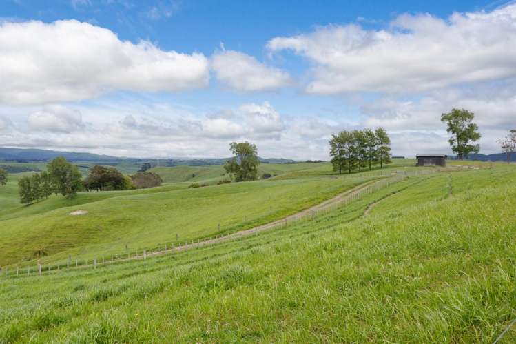 196 Waimanu Road Pukeatua_4