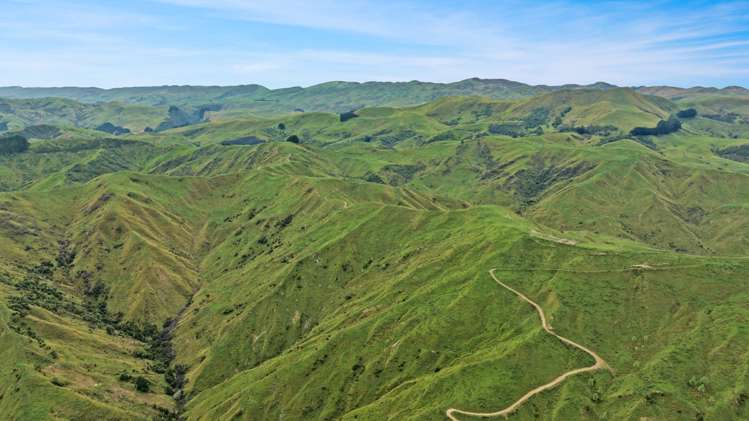 1068 Hinemoa Valley Road Pahiatua_9