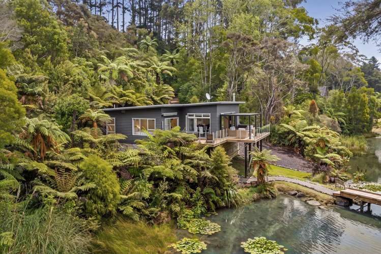 276B Smyth Road Dome Forest_26