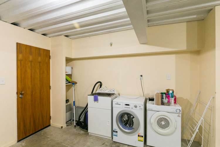 1 Oak Grove Mount Cook_18