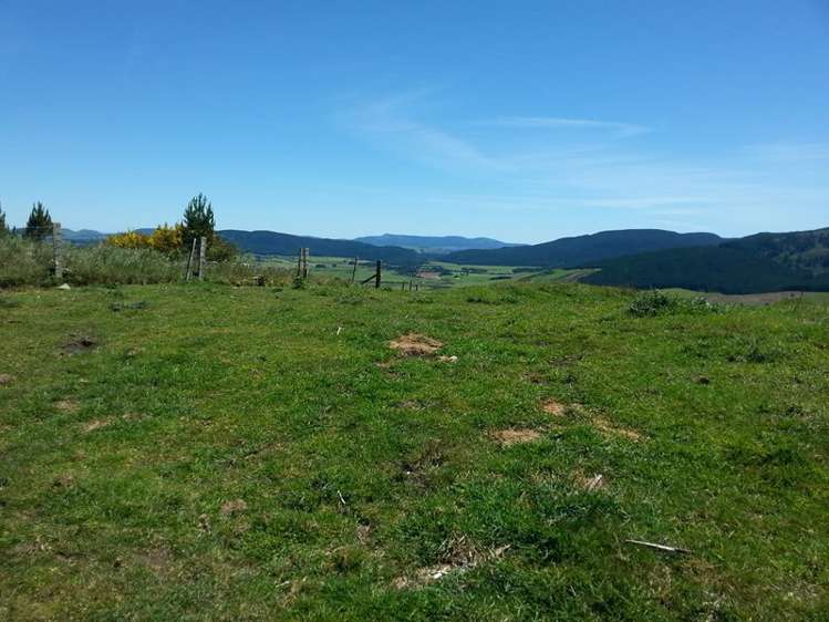 215 Forest Road Oruanui_2