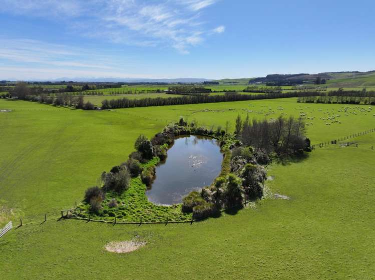 69 Livingstone Road Thomsons Crossing_5