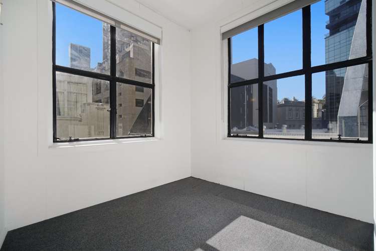 11 Durham Street East 10015_7
