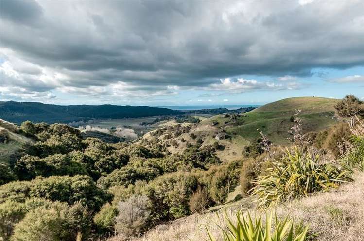 129 Hedgeley Road Eskdale_19