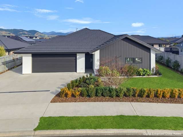 Light, Spacious and Effortlessly Modern