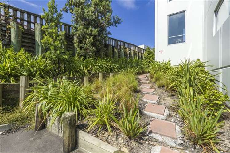 113/17 Link Crescent Stanmore Bay_19