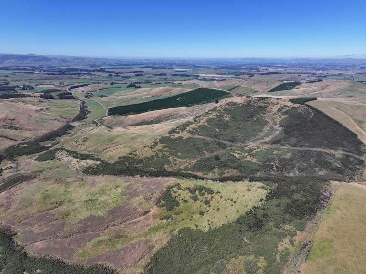 201 Sheepwash Creek Road Ardlussa_15
