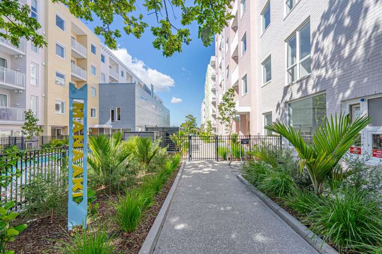 405/9C Jordan Avenue Onehunga_13