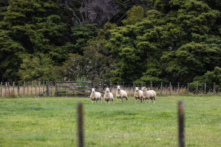 7 Pebble Brook Road Wainui_19