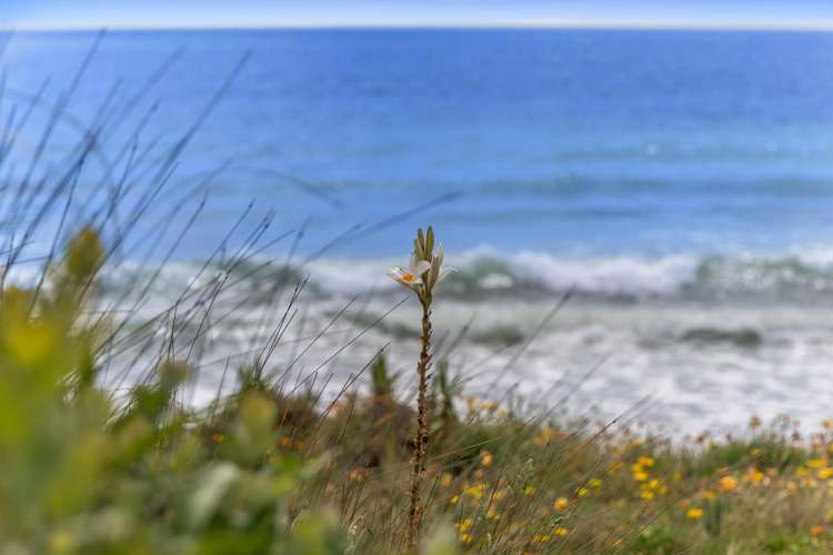 563 Pukehina Parade Pukehina_28
