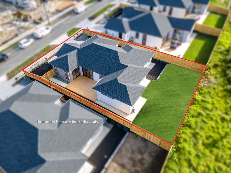 20 Kauri Gum Rise Swanson_26