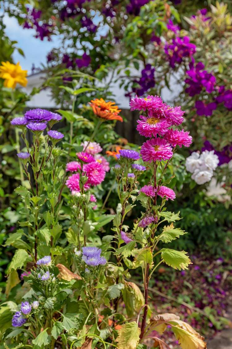 4B Arthur Street Kensington_24