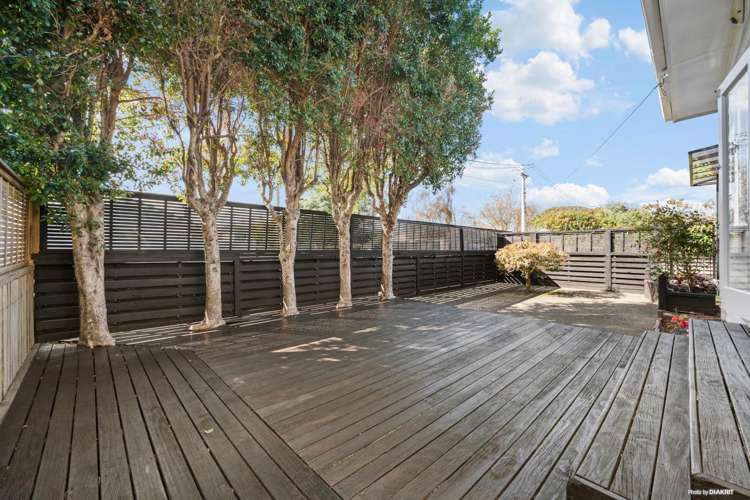 33 Boyd Avenue Royal Oak_10