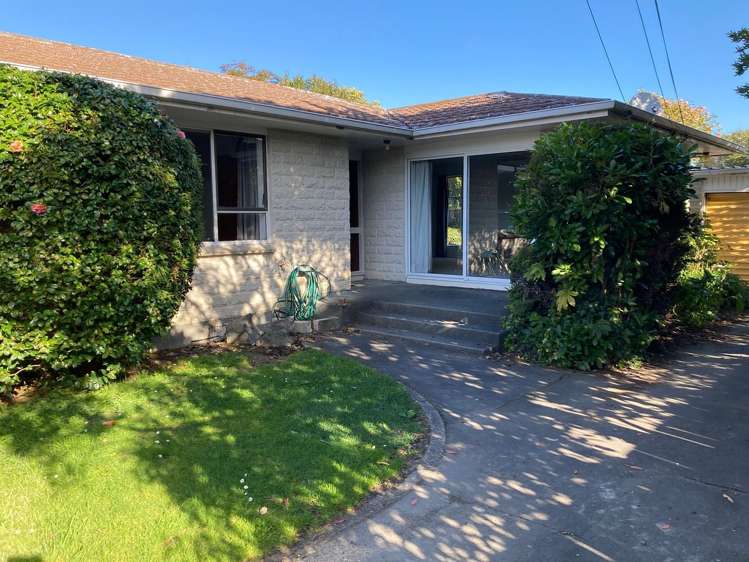 46B Copeland Street Hutt Central_1