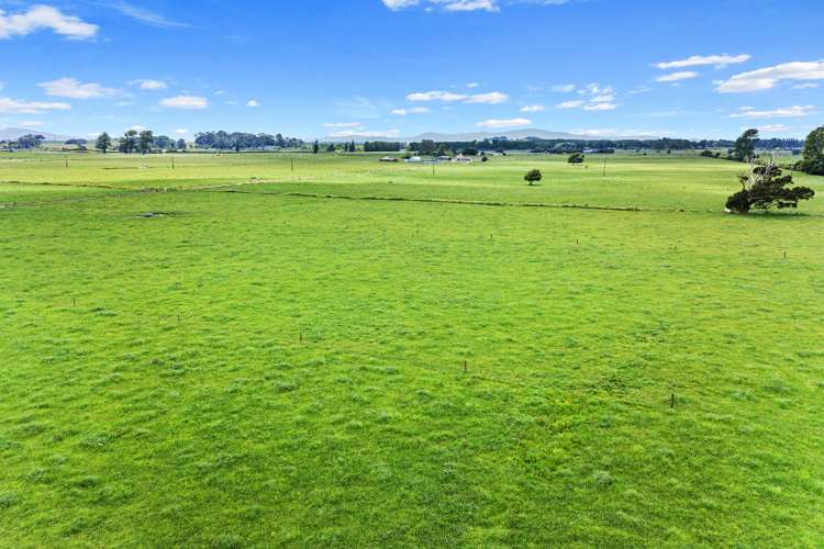 1779 Gordonton Road Taupiri_25