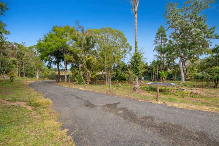 1688 South Head Road Helensville_32