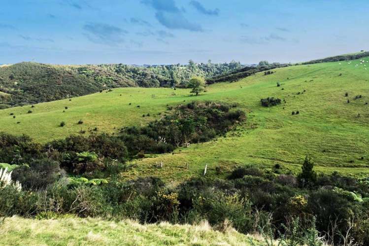 126 Richards Road Dairy Flat_22