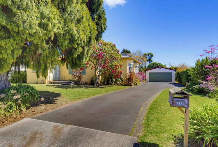103 Weraroa Road Levin_22