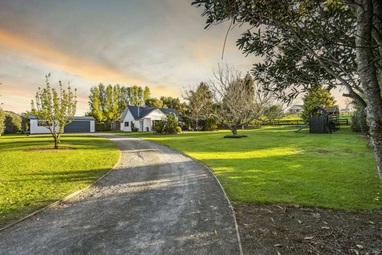 233 Ross Road Whakamarama_1