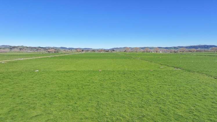 165 Canal Road East Waitakaruru_5