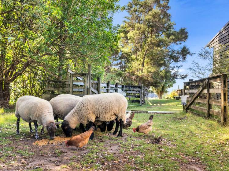 158 McLeod Road South Head_0