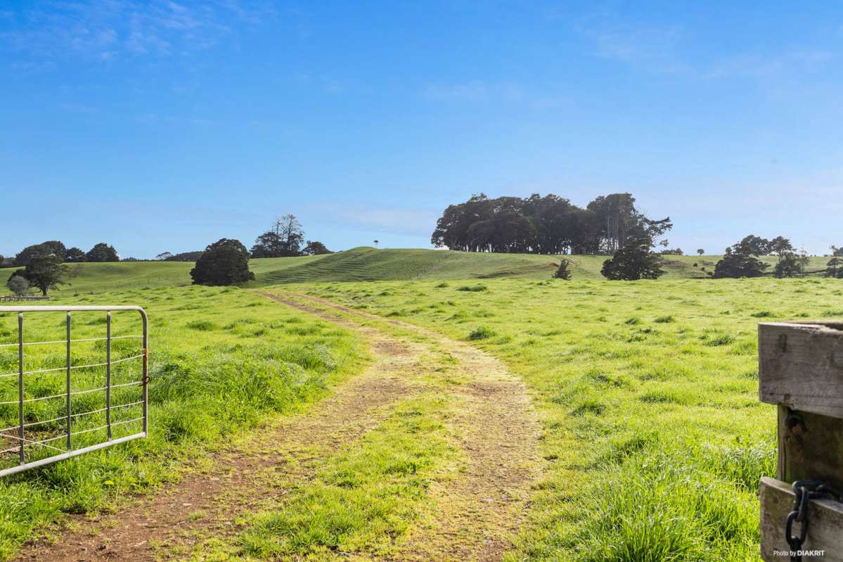 678 Waiuku Road_0