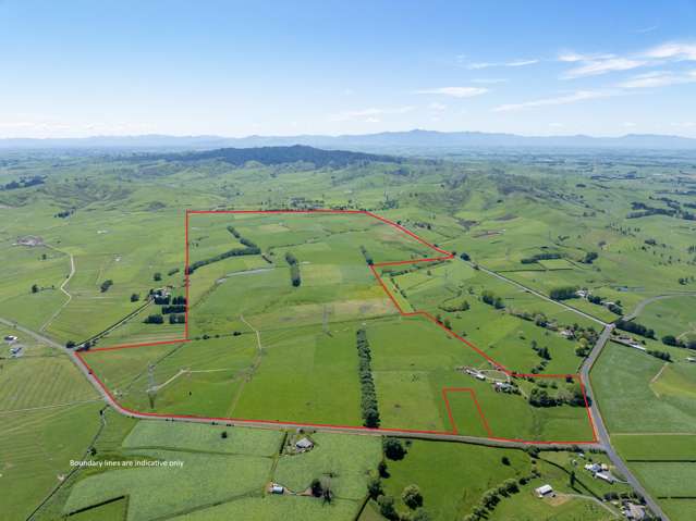 1230 Tauhei Road Morrinsville_1