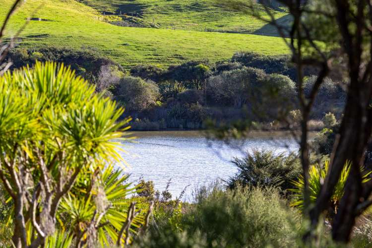 9 Waipatukahu Lane Raglan_20