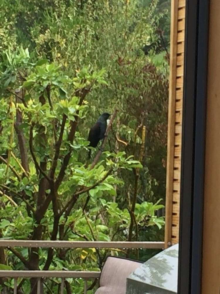 28 Moana View Road Waikawa_37