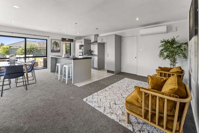 15 Taranaki Place Richmond_4