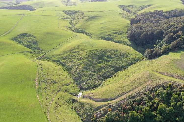 339 Rankleburn Road Pomahaka_10