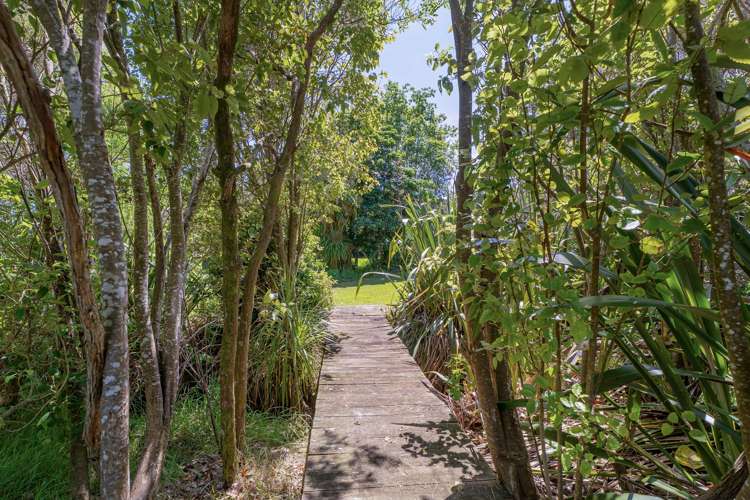 248 Sh25 Kuaotunu_13