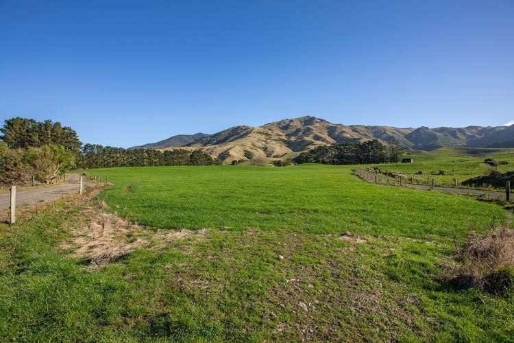 454 Parkville Road Eketahuna_12