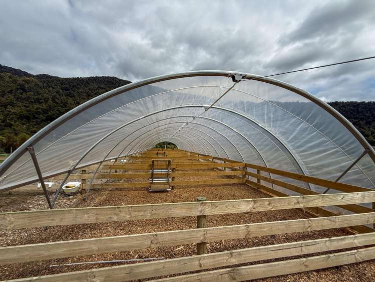 221 Docherty Creek Rd and Waiho Flat Road Franz Josef_24