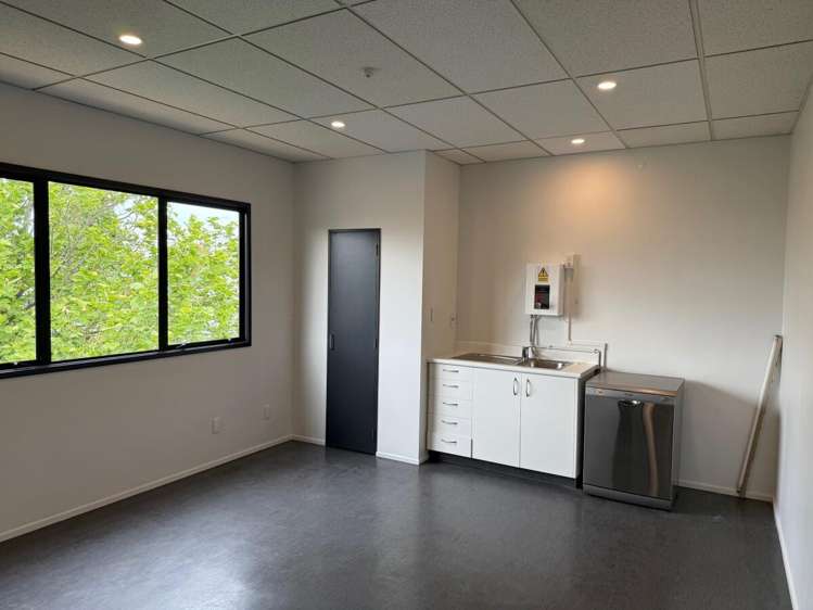 21 Carlyle Street Sydenham_6