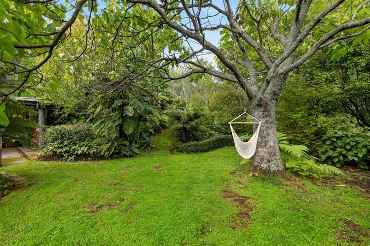 84 Plummer Road Whakamarama_18