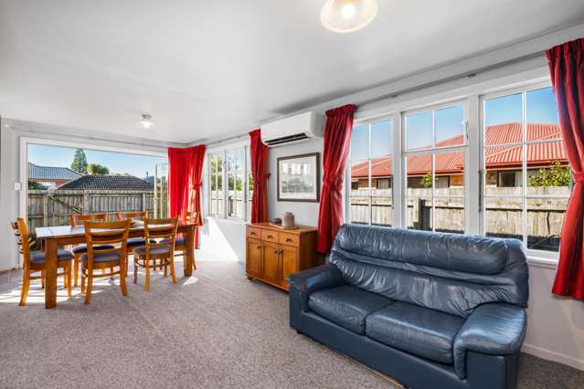 35 Lee Street Blenheim_4