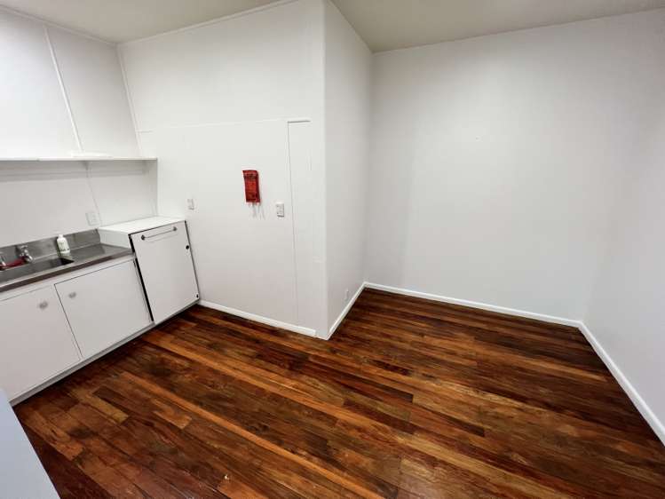 24 Sydney Street Petone_7