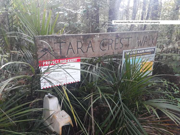 356 Tara Road Mangawhai_18