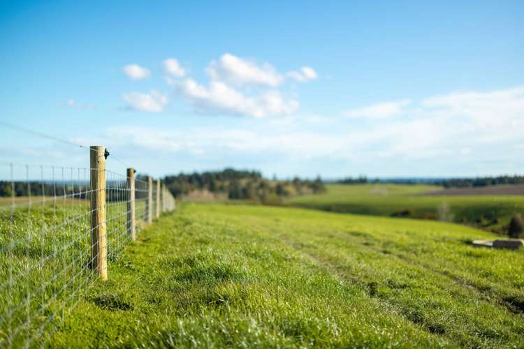 Rowallan Road Darfield_32