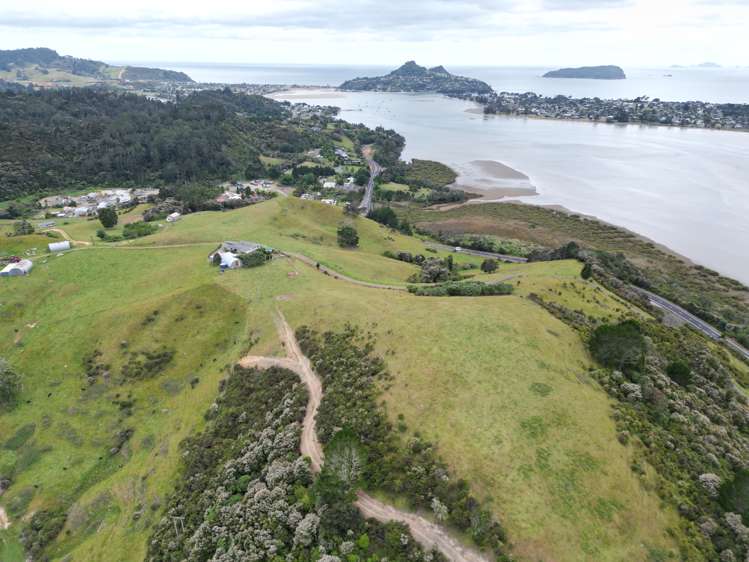 3327 Tairua Sh25 Road Pukepoto_16