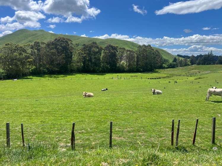 Lot Lot 1/9 Tamaki East Road Dannevirke_24