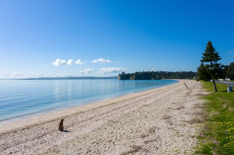 2/26a Eastern Beach Road Eastern Beach_16