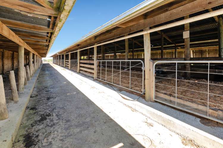 400 Partridge Road Wellsford_5