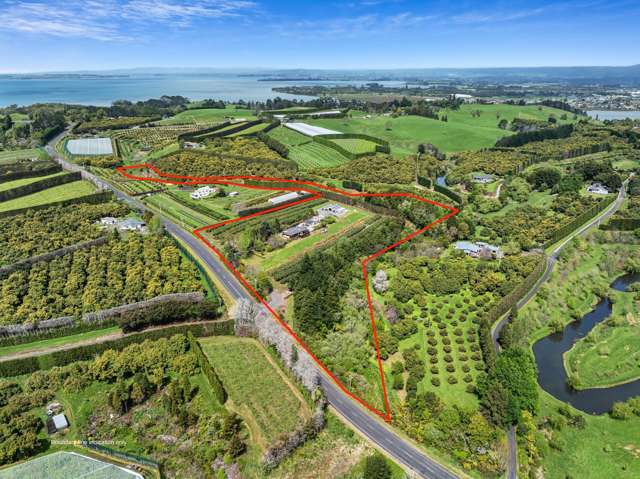 124 Kauri Point Road Katikati_3