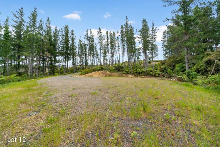 46 Crest Road Akatarawa_11