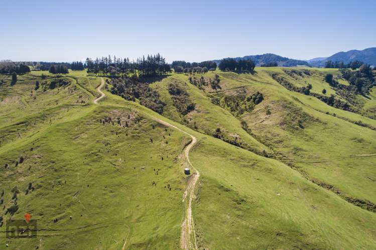 482 Table Flat Road Apiti_7