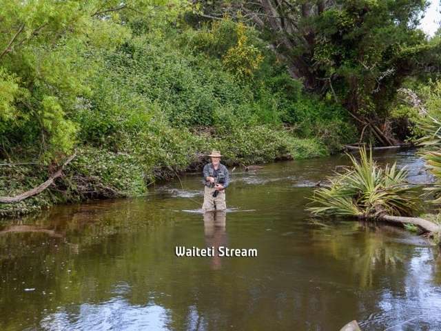 31 Ngongotaha Road Ngongotaha_2