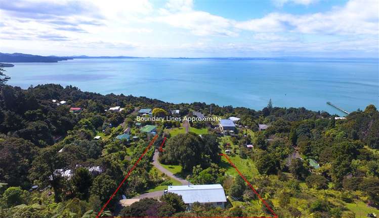 81 Cornwallis Road Cornwallis_5